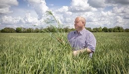 Strategic Cereal Farm East 2025: Trial Results and Insights at TMAF